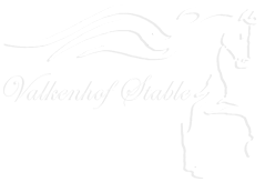 Logo Valkenhof