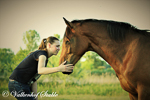 Paarden